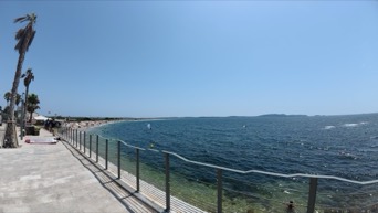 Palmier plage